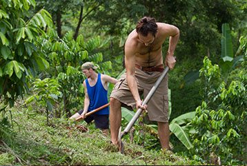 Community Healthy Eating Eco Village forest jungle nature Earth conscious life reforestation planting transformation wildlife ecosystem trees waste reduction soil regeneration organic agriculture superfoods greenhouse clean energy Pachamama Costa Rica environment spiritual mother earth love eco village