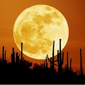 Moons and Moods