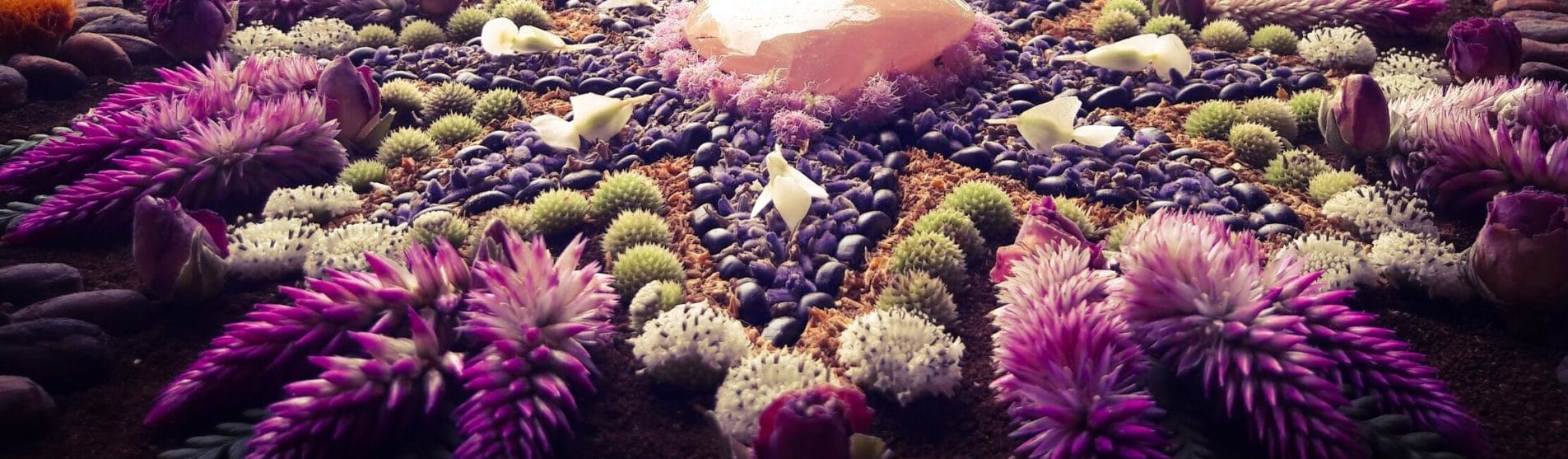 Sacred Womb Space