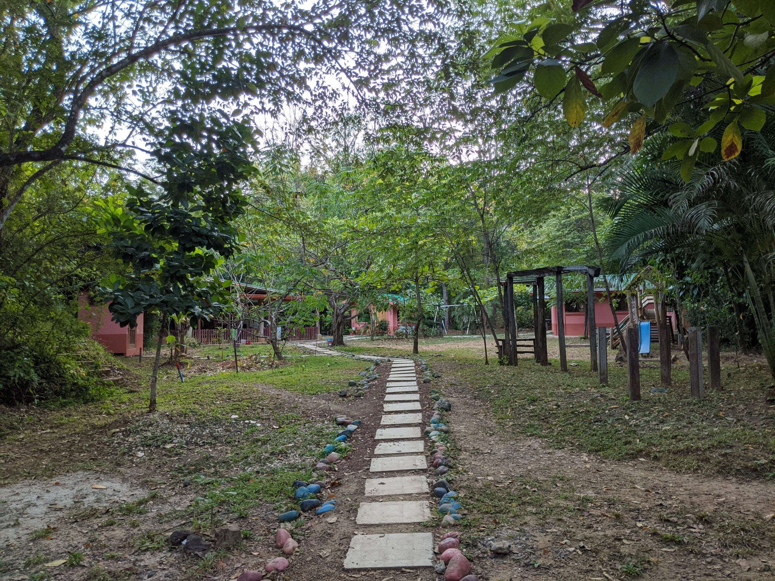 Meditation silence stillness retreat Pachamama Costa Rica awareness therapy spiritual jungle forest eco village Osho Community wildlife ecosystem Children jungle School teacher education Waldorf