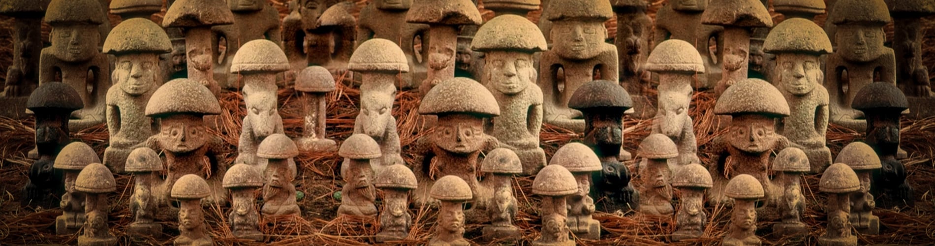 Cultivation in the Fungi Queendom