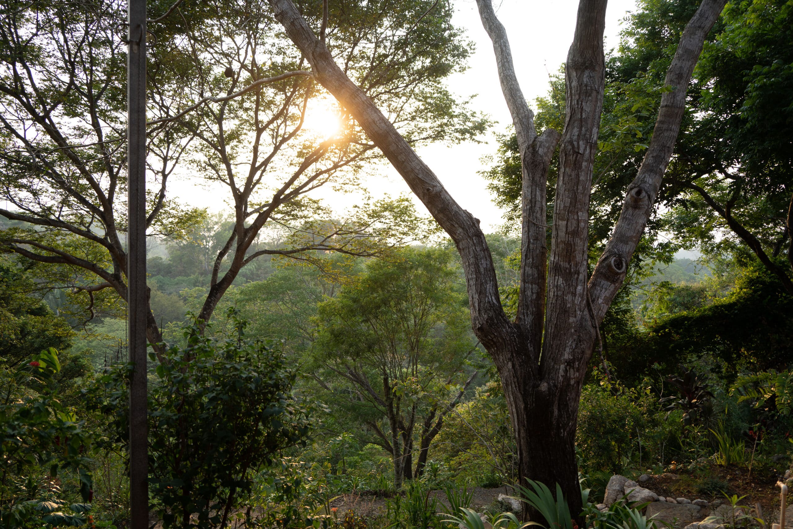 pachamama Costa Rica accommodation sustainable jungle forest spiritual Housing Forest