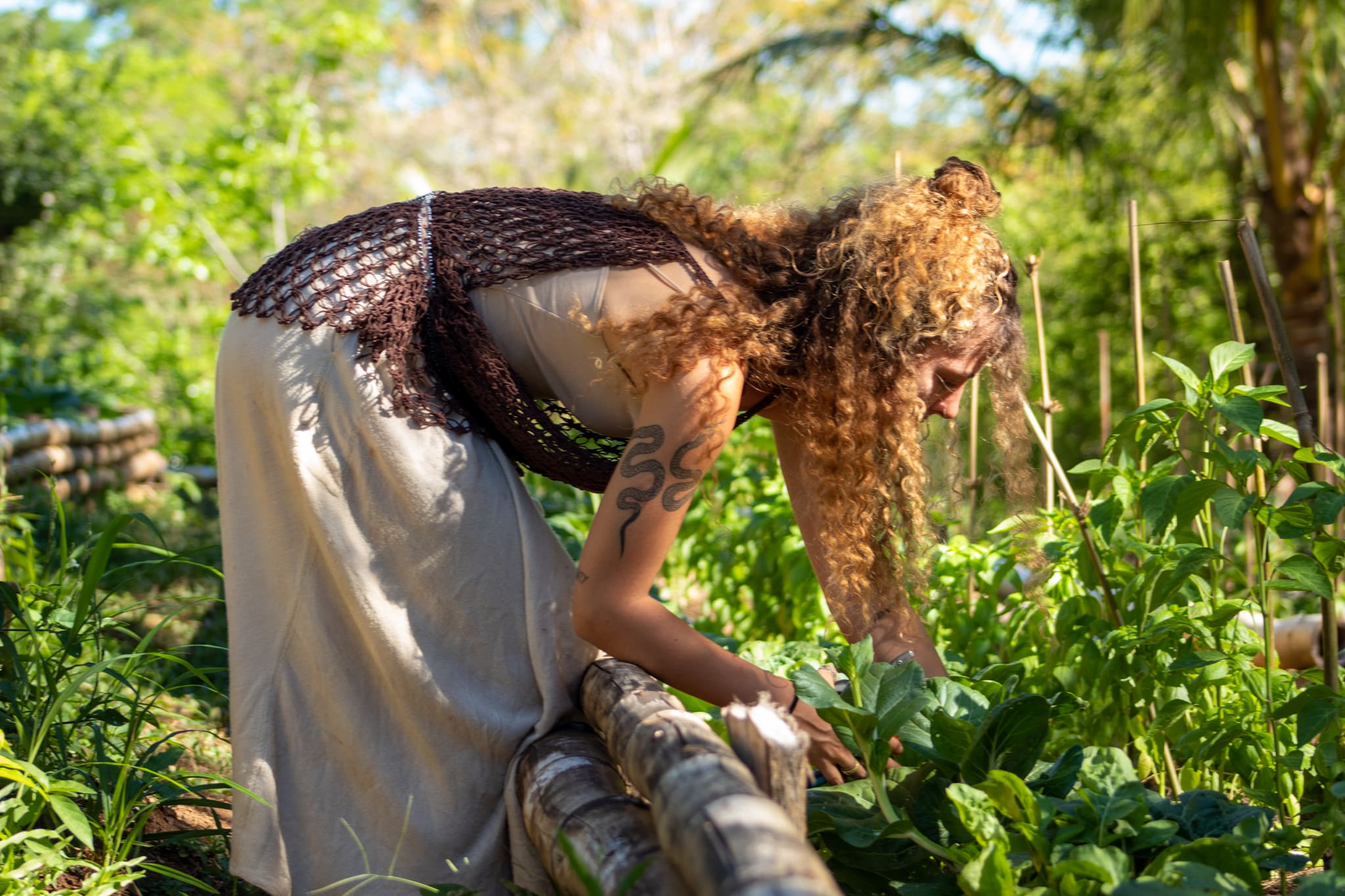 Community Healthy Eating Eco Village forest jungle nature Earth conscious life reforestation planting transformation wildlife ecosystem trees waste reduction soil regeneration organic agriculture superfoods greenhouse clean energy pachamama Costa Rica environment