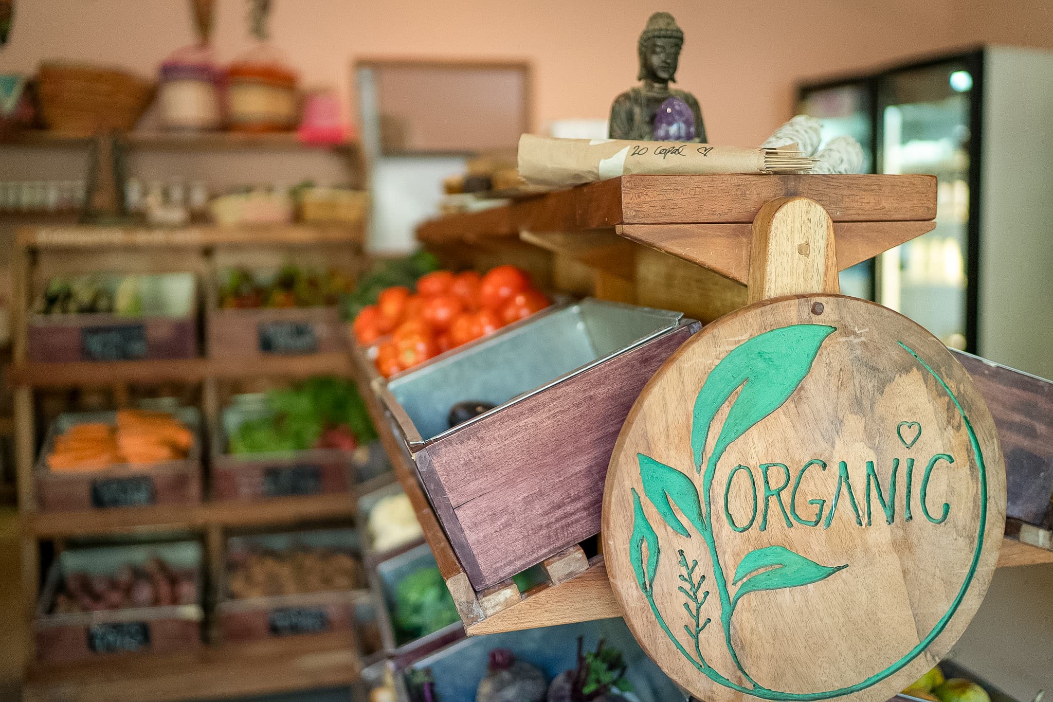 Health Food vegetarian High-vibe nutrition organic superfood Restaurant Wild Treats Community village Pachamama Costa Rica spiritual eco village