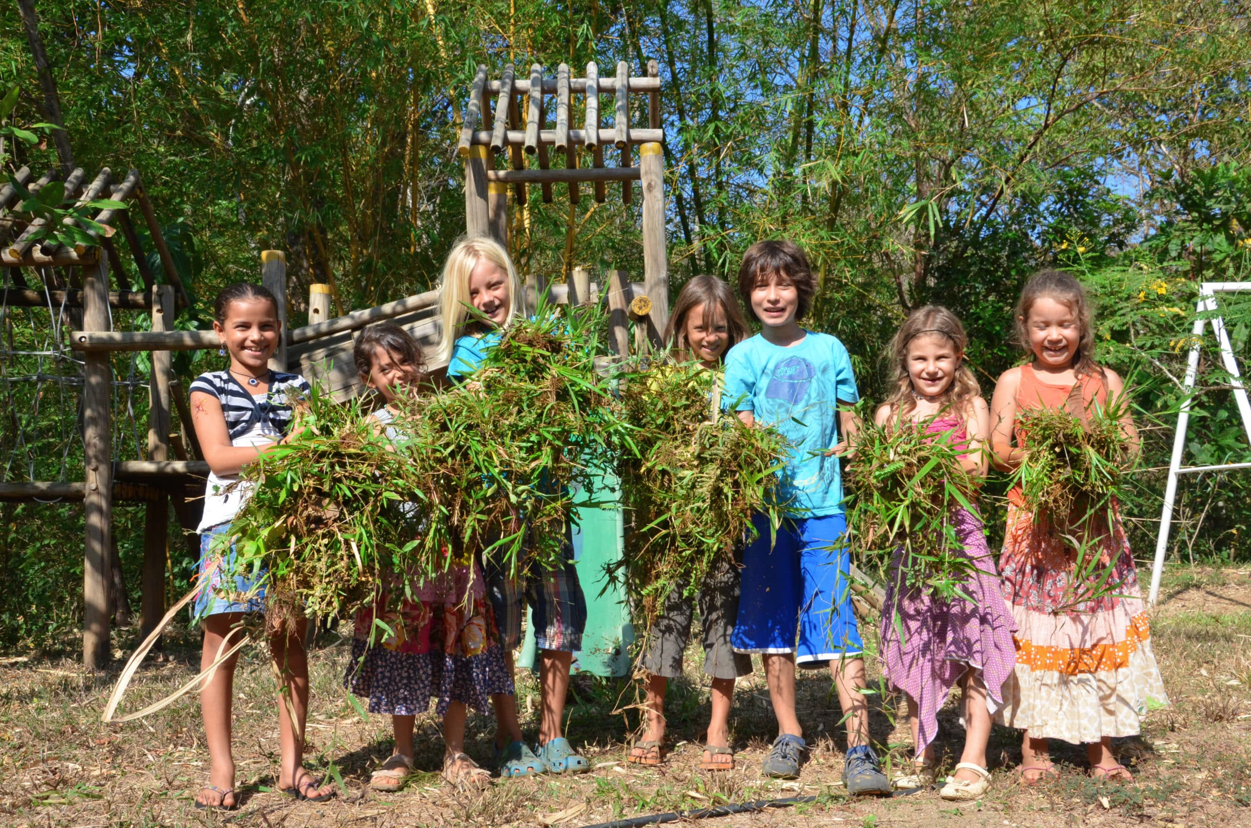The Jungle School: Down to Earth Education in the Heart of the Forest
