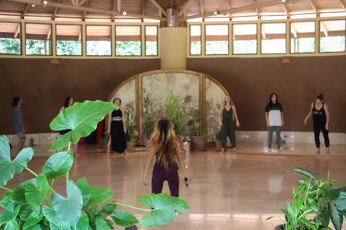 Meditation silence stillness retreat Pachamama Costa Rica awareness therapy spiritual jungle forest eco village Osho Community wildlife ecosystem Transformation Cycle Dance