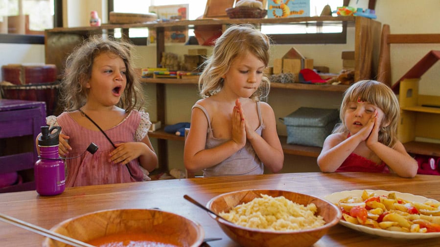 Meditation silence stillness retreat Pachamama Costa Rica awareness therapy spiritual jungle forest eco village Osho Community wildlife ecosystem Children jungle School teacher education Waldorf