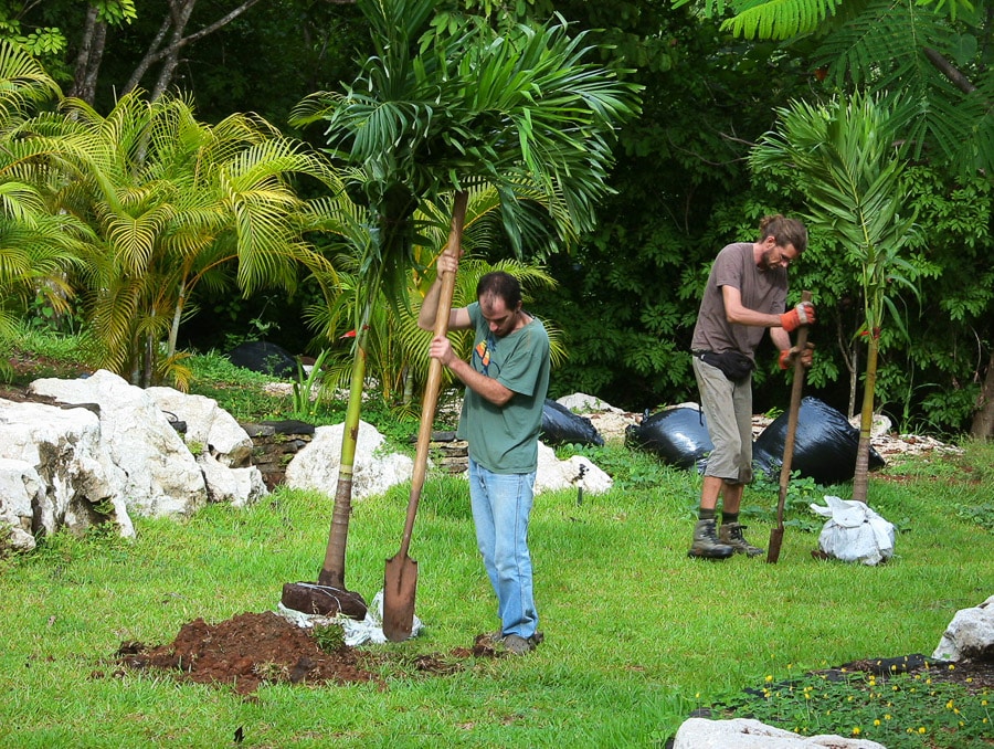 Community Healthy Eating Eco Village forest jungle nature Earth conscious life reforestation planting transformation wildlife ecosystem trees waste reduction soil regeneration organic agriculture superfoods greenhouse clean energy Pachamama Costa Rica environment spiritual mother earth love eco village