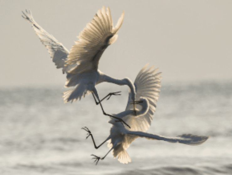 The Art of Conflict