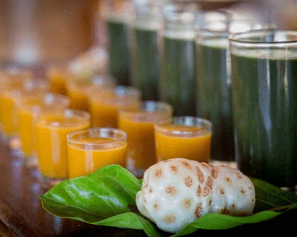 Body Cleanse Detox Program